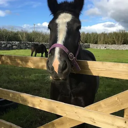 Burren 1 Bed Detached