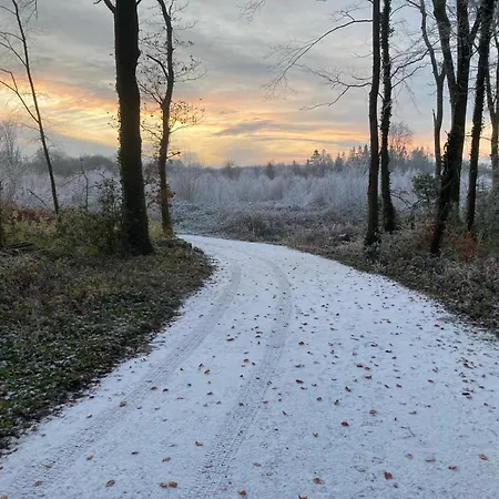 Burren 1 Bed Detached Galway